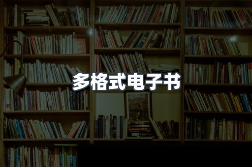多格式电子书